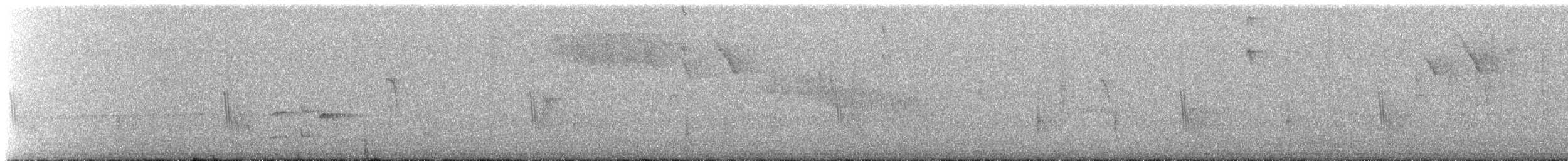 Caribbean Martin - ML640695783