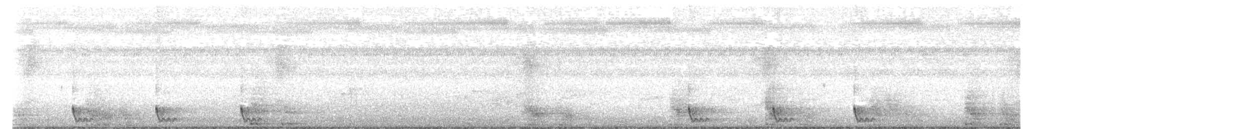 Large-tailed Nightjar - ML640696076