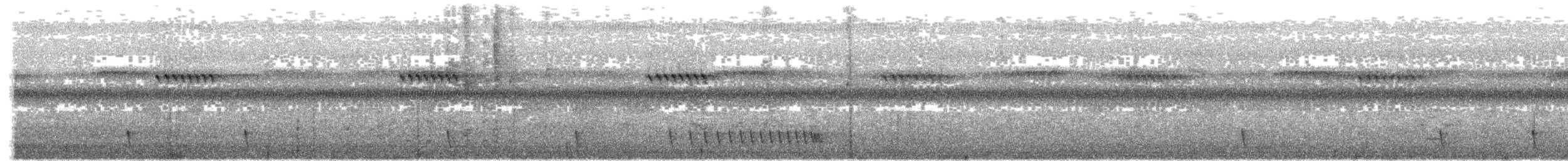 Indian Nightjar - ML640697337