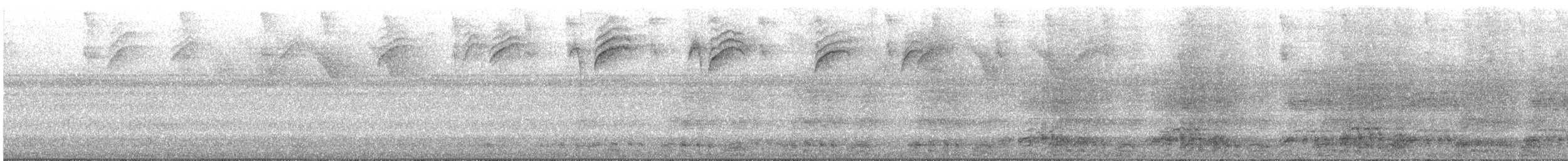 Speckled Chachalaca - ML640701259