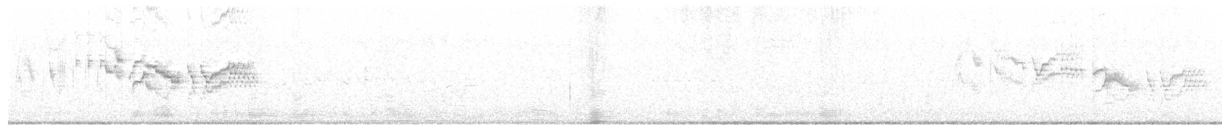 Bicknell's Thrush - ML640706557