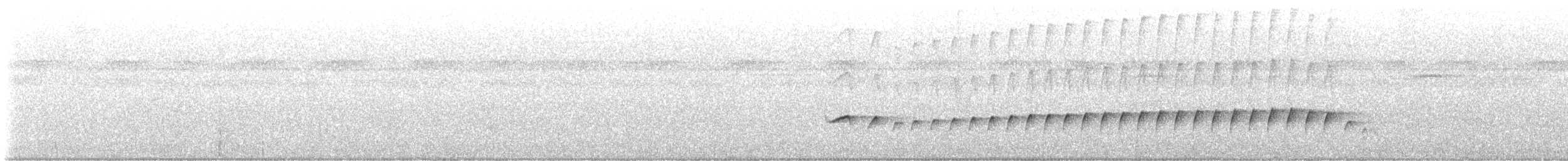 Silvered Antbird - ML640707561