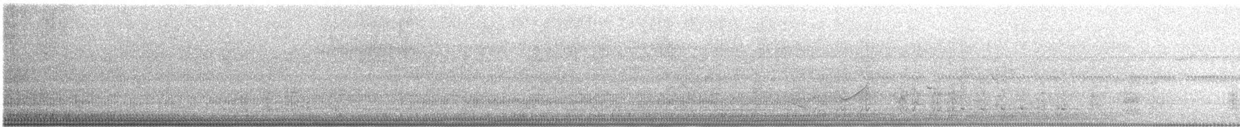 ムジヒメシャクケイ - ML640708854