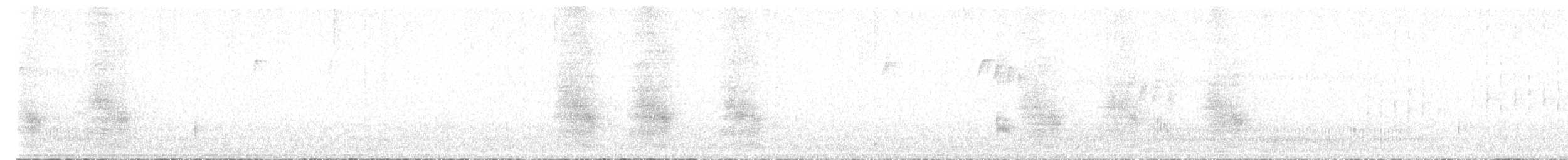 Steller's Jay - ML640709501