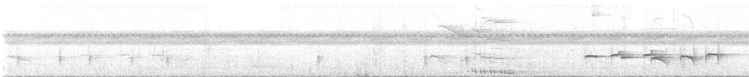 Willis's Antbird - ML640711624