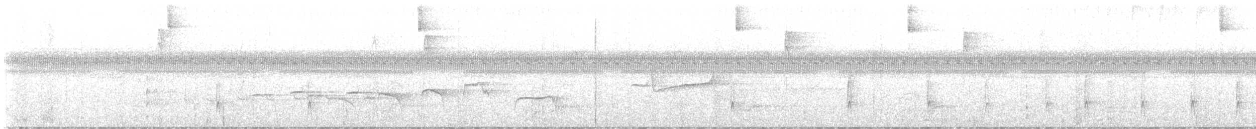 Willis's Antbird - ML640711691