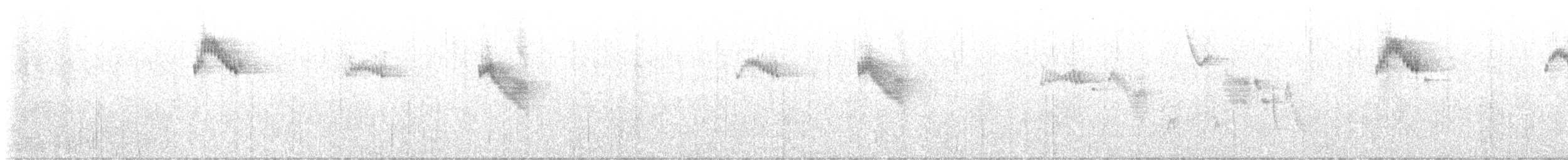 Troglodyte montagnard - ML640712688