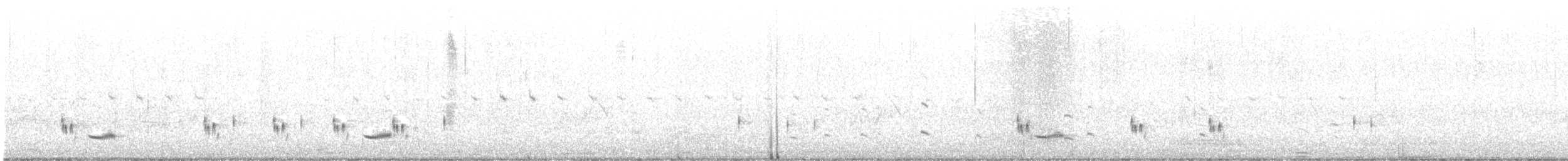 Mégalure caqueteuse - ML640718559