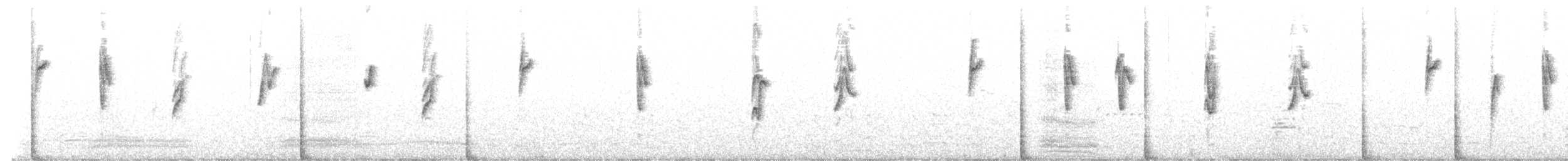 Pin-tailed Whydah - ML640718605