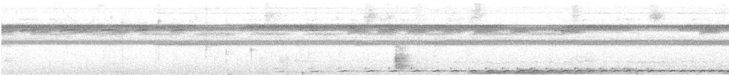 Striated Antthrush - ML640719591