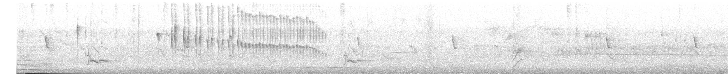 Tyranneau à toupet - ML640720990