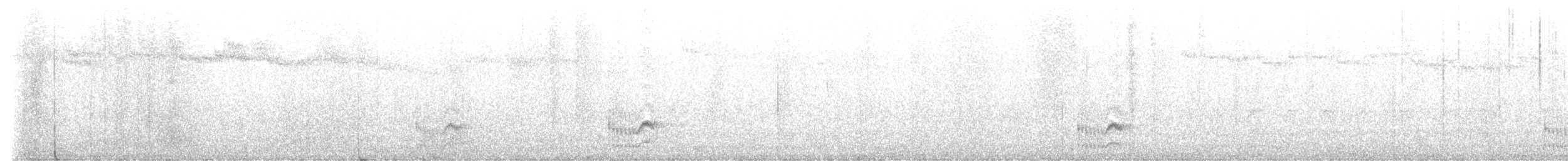 Dusky Tapaculo - ML640722599