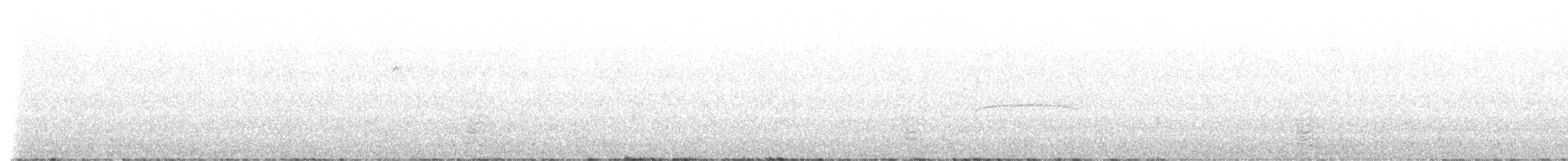 Patagonian Tyrant - ML640722667