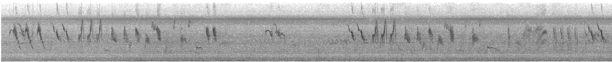 Japanese Wagtail - ML640723724