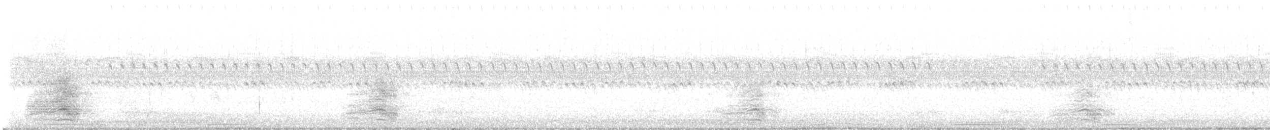 Caspian Tern - ML640723840