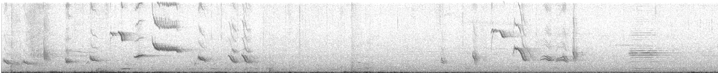 Long-tailed Mockingbird - ML640727146