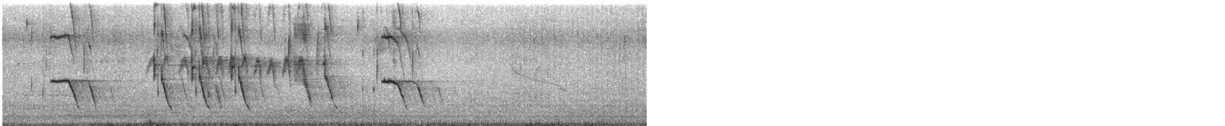Scrub Blackbird - ML640727833