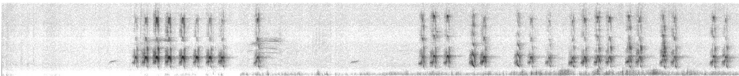 White-fronted Woodpecker - ML640728692