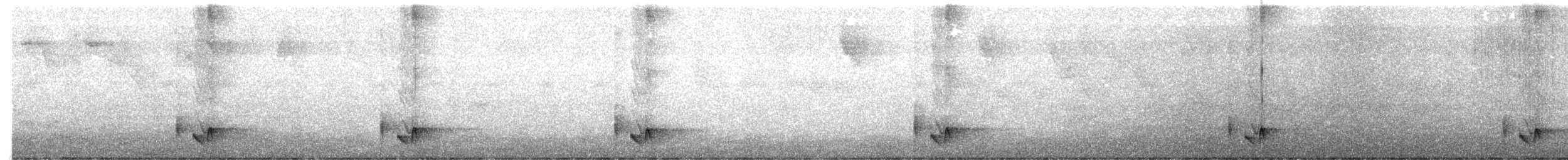 Troglodyte à long bec - ML640729737