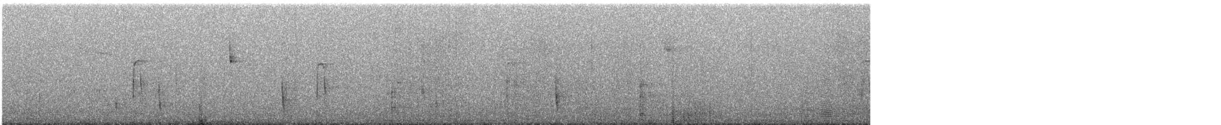 Catharus sp. - ML640731500