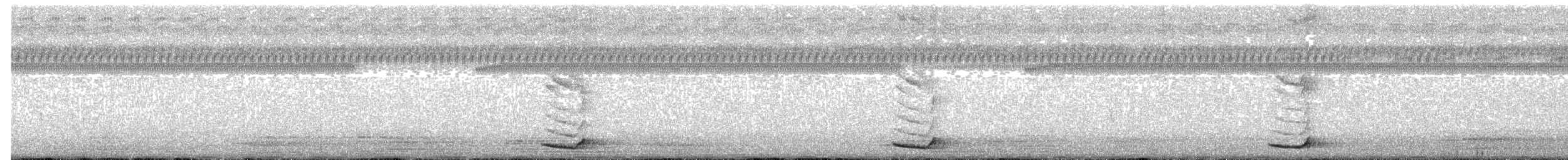 Медівник рогодзьобий - ML640732899