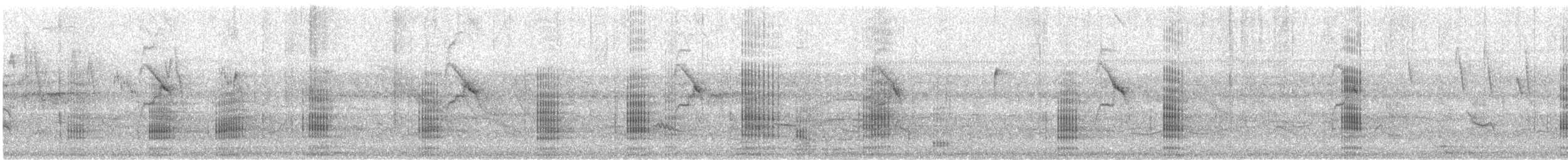 Neotropic Cormorant - ML640733218