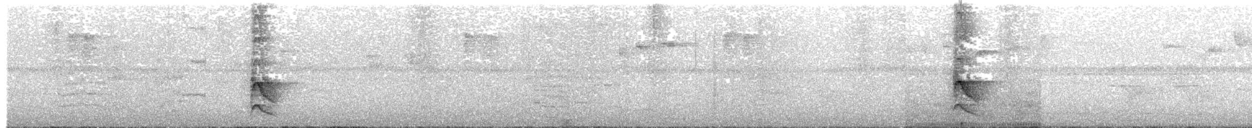 Ornate Pitta - ML640736655