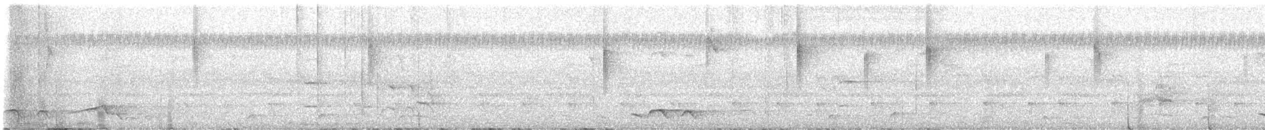 Dicée des Célèbes - ML640736830