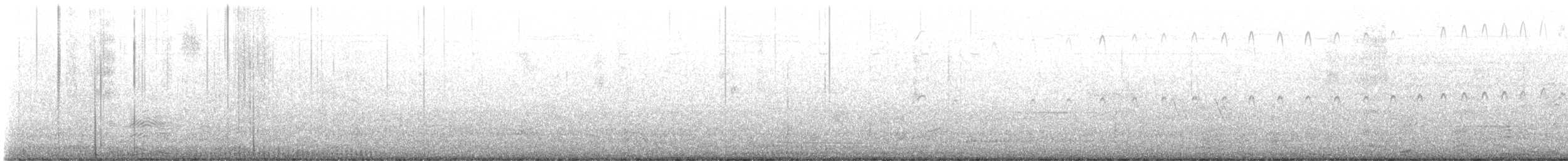 Pigeon Guillemot - ML640738685