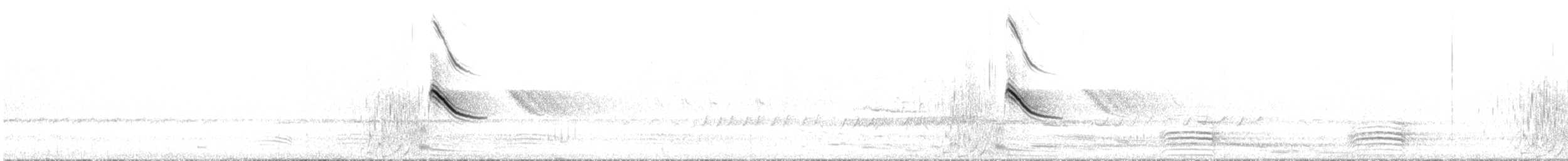 Musk Duck - ML640738789