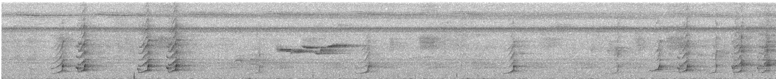 ボウシゲラ - ML640741652