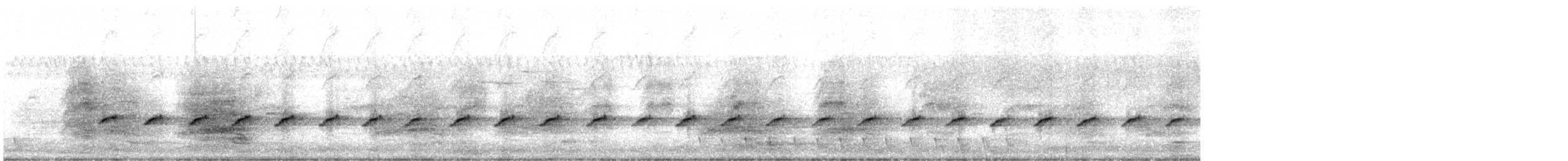 Échelet leucophée - ML640743588