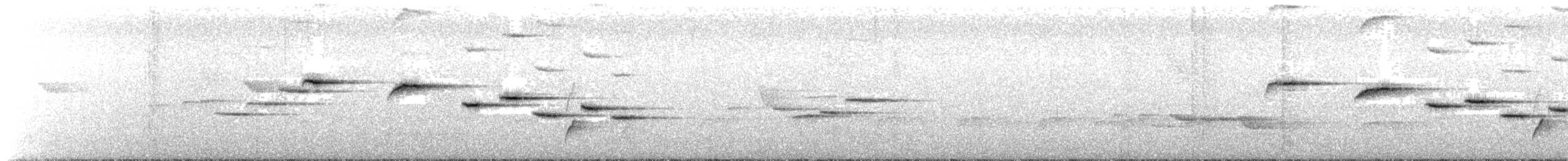Sulawesi Fantail - ML640744557