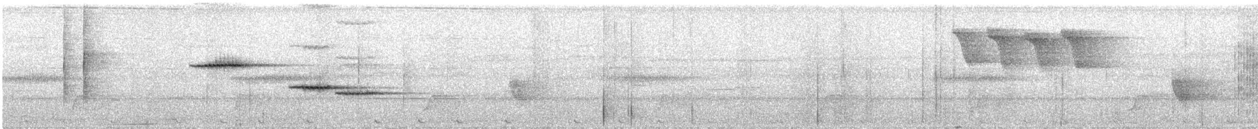 Gray-chested Jungle Flycatcher - ML640744822