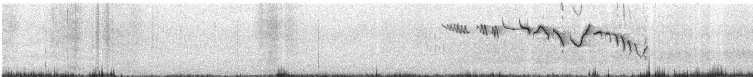 Хөвчийн бялзуумар - ML640746223