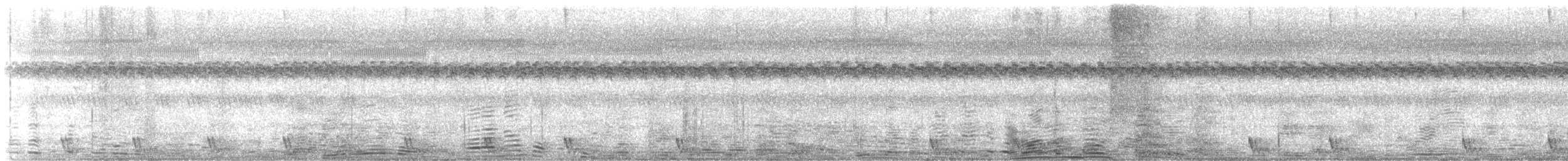 Large-tailed Nightjar - ML640747966