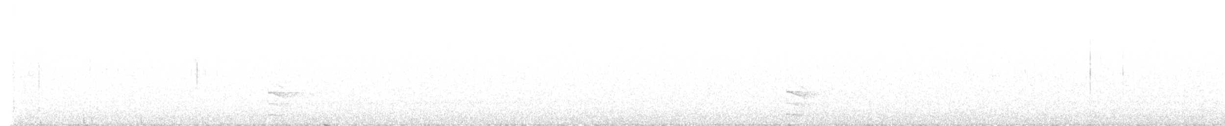 Australian Owlet-nightjar - ML640748227