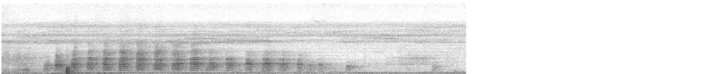 Boat-billed Heron - ML640748719