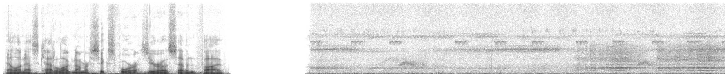 Краснохвостая чачалака (ruficauda) - ML64075