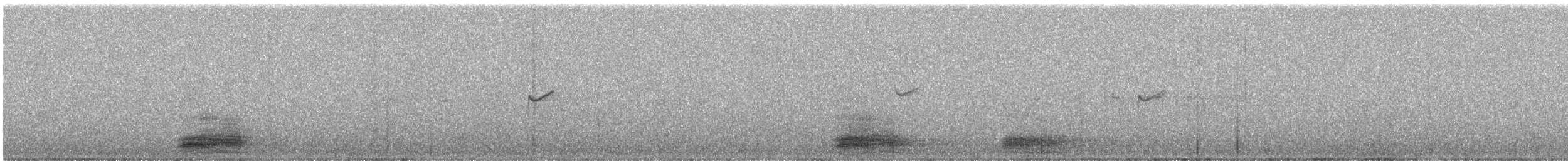 Pied Crow - ML640750366