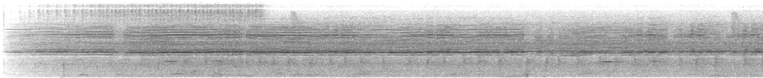 Striped Cuckoo - ML640750473
