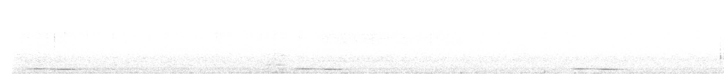 Tasmanian Boobook - ML640750531