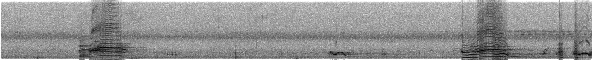 クビワコガモ - ML640751108