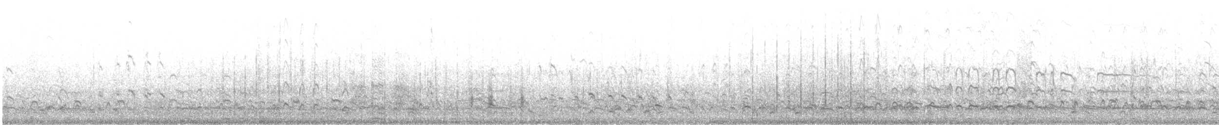 חופית להקנית - ML640751810