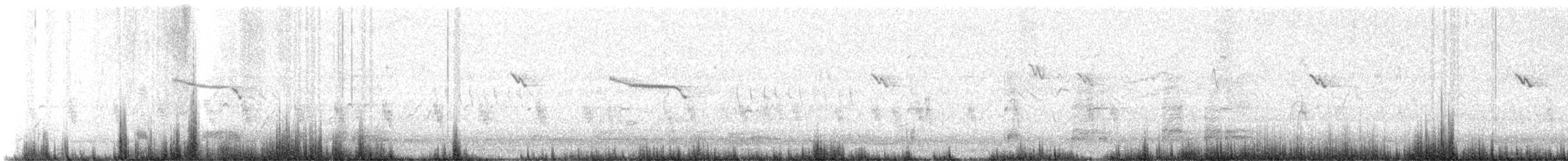Bengalino comune - ML640751879