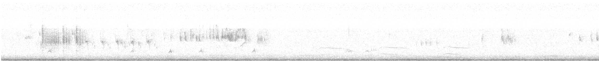 Mendebaldeko zozo-txinboa - ML640752197