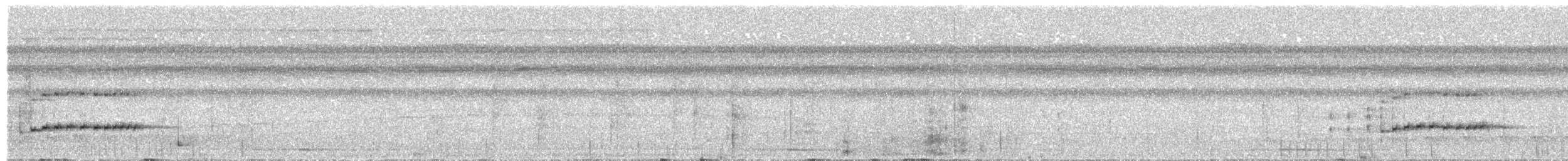 Hemitriccus sp. - ML640752676