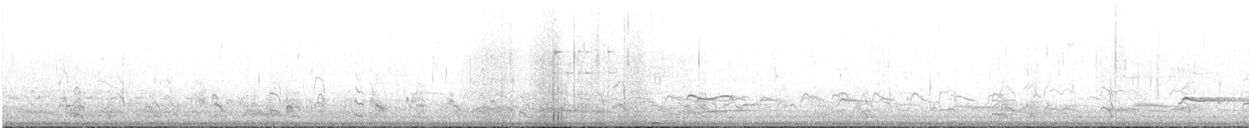 חופית להקנית - ML640752788