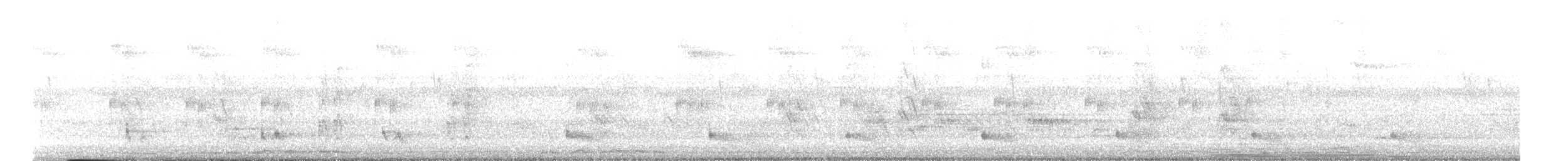 Pied Cuckoo - ML640752880