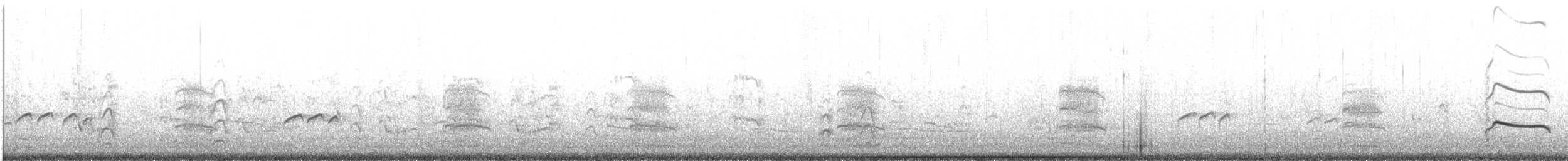 Terek Sandpiper - ML640754041